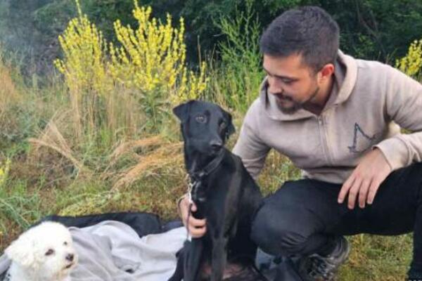 KRALJEVČANIN POSLE 4 DANA PRONAŠAO IZGUBLJENOG PSA: Njegova priča rasplakala Srbiju