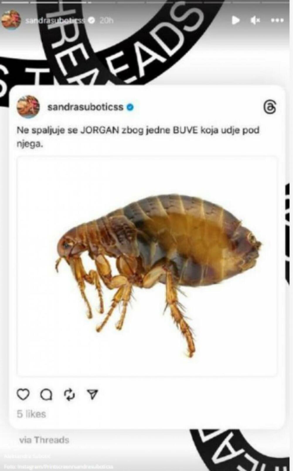 Objava Aleksandre Subotić