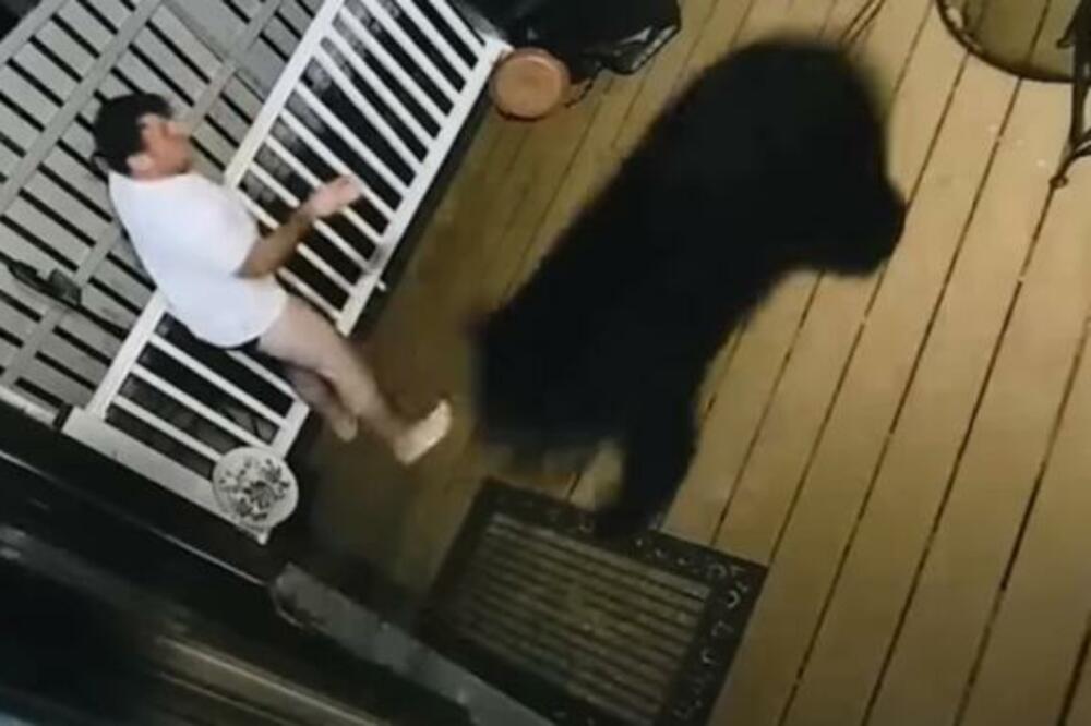 U POLA NOĆI U GAĆAMA JE IZLETEO IZ KUĆE: Čuo je LAVEŽ PASA, a tek šta je USLEDILO - gledajte SAMO (VIDEO)