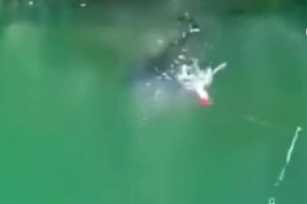 ZABACIO UDICU, A ONDA JE NEŠTO JEZIVO KRENULO KA NJEMU: Pecarošu se SLEDILA KRV kada je iskočilo OVO! (VIDEO)