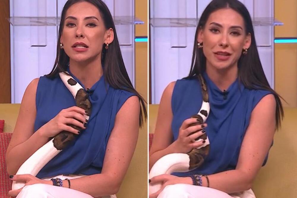 UŽAS U EMISIJI UŽIVO, NAŠOJ VODITELJKI SE ZMIJA OBMOTALA OKO VRATA: Ovo je bila njena REAKCIJA! (FOTO)