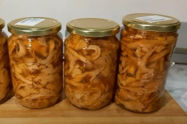 MESNATE I UKUSNE MARINIRANE LISIČARKE: Spremne KAD GOD vam treba, ukus koji SRBI OBOŽAVAJU