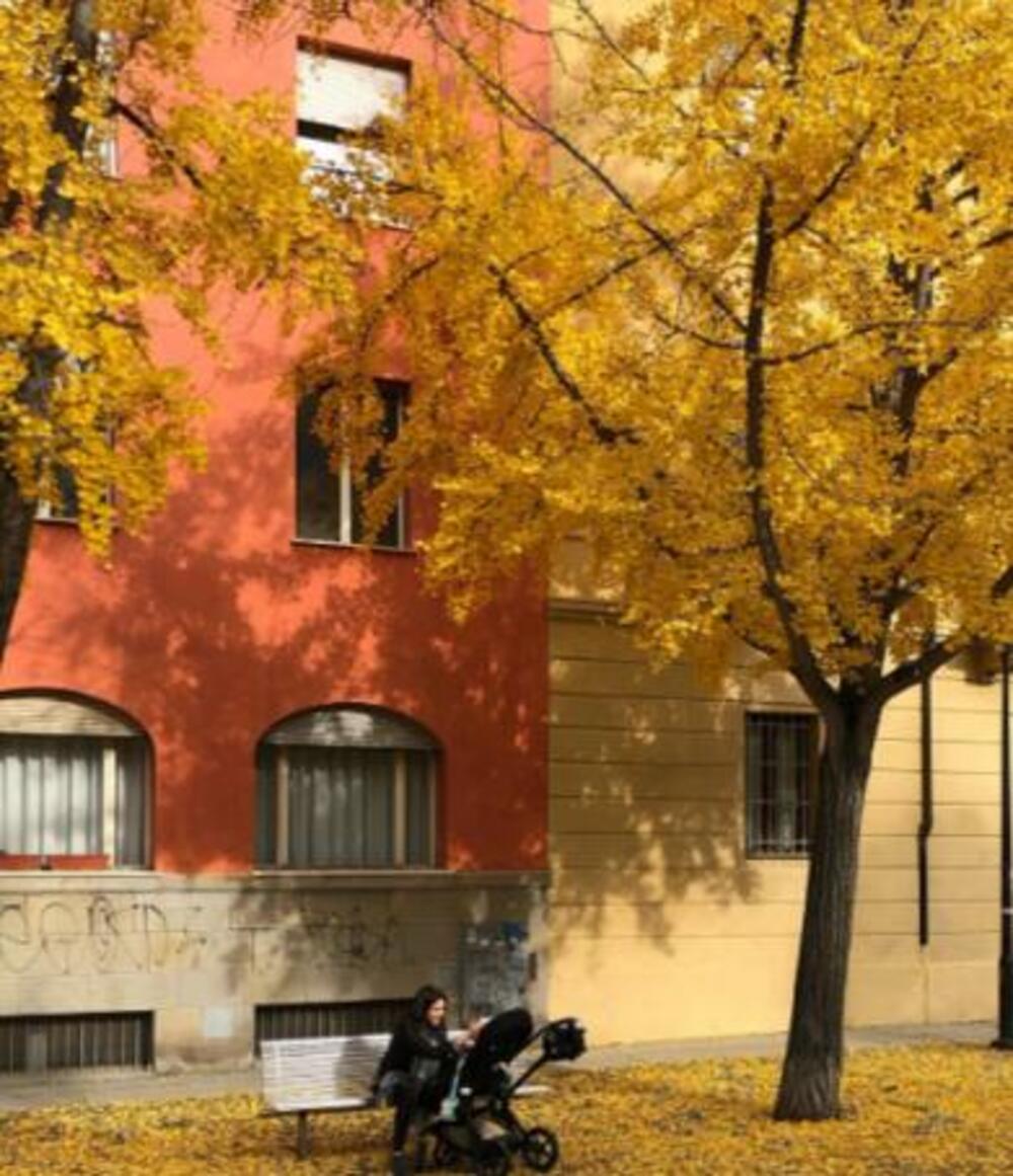 Jelisavetina objava pred vraćanje u Srbiju