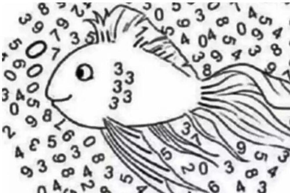 PROVERITE KAKVA VAM JE MOĆ ZAPAŽANJA: Mozgalicu sa ribom je RETKO KO REŠIO, probajte da pronađete BROJ JEDAN