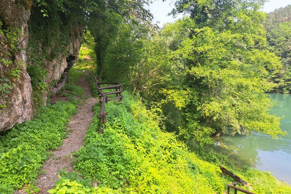 VEROVALI ILI NE, OVO JE NAŠA PRIRODA: Neverovatna zelena oaza na obali PREDIVNE REKE, bajkoviti prizori (FOTO)