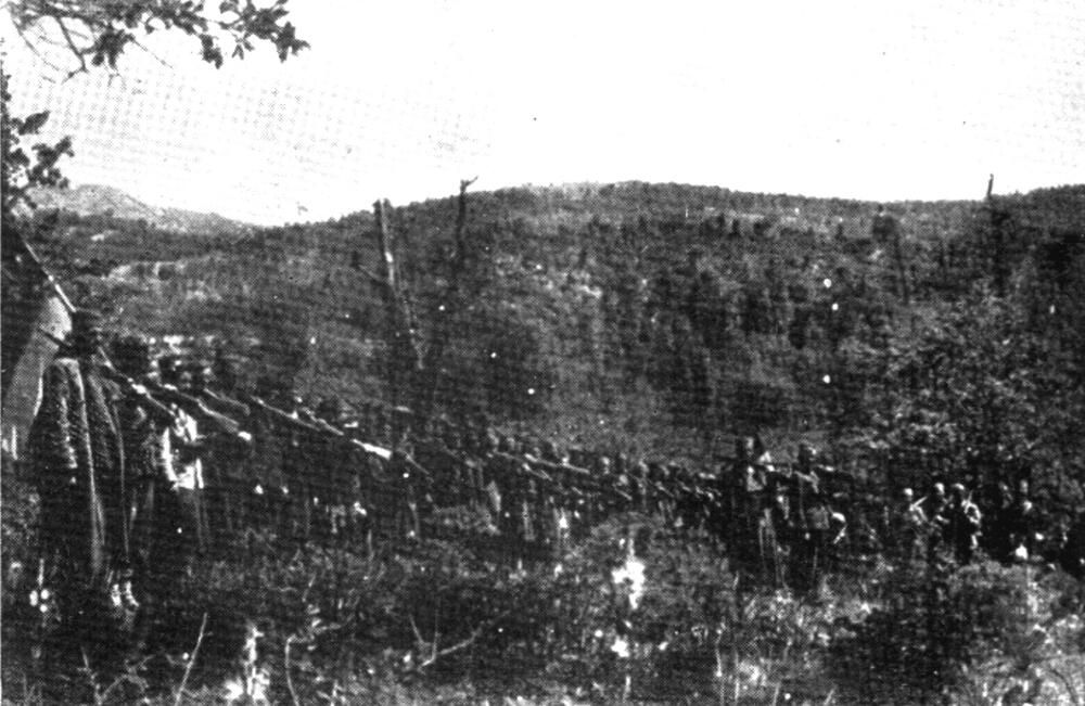 Trinaestojulski ustanak