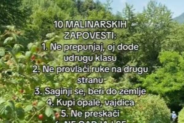 "NE PREPUNJAJ, SAGINJI SE..." Mrežama kruži hit snimak, ovo je 10 MALINARSKIH ZAPOVESTI! (VIDEO)