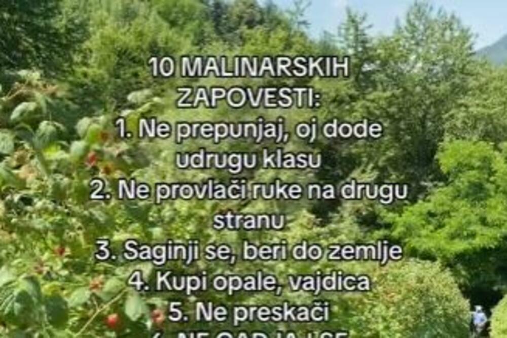 "NE PREPUNJAJ, SAGINJI SE..." Mrežama kruži hit snimak, ovo je 10 MALINARSKIH ZAPOVESTI! (VIDEO)