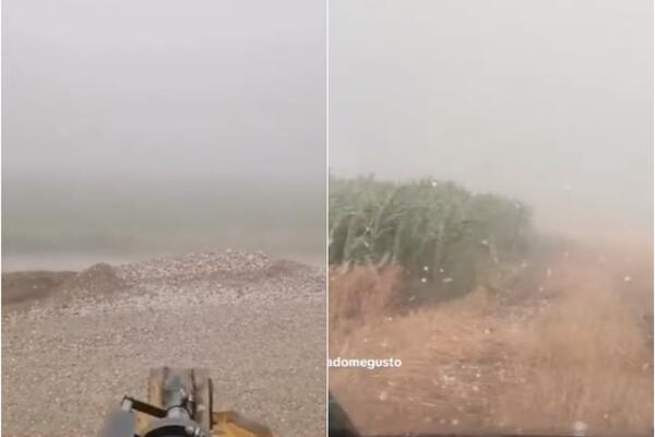 "SVE UNIŠTENO...": Nevreme u Vojvodini napravilo OGROMNU ŠTETU, grad POTUKAO zasade KUKURUZA i SOJE! (VIDEO)