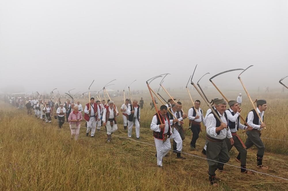 POČINJE SRPSKI KOSAČKI VIMBLDON: Ponovo će se odmeravati brzina, kvalitet, ali i najlepši stas! (FOTO)