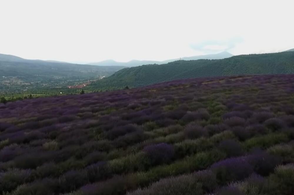 MAJKA I ĆERKA IZ NIŠA POKRENILE OZBILJAN BIZNIS: Rade i po najvećoj vrućini, ideja im se isplatila