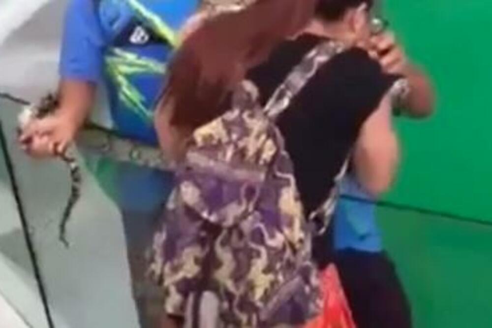 PAMETNICA KRENULA DA POLJUBI ZMIJU, A ONDA SE DESIO UŽAS: Sve se odigralo BRZINOM SVETLOSTI, pravi HOROR! (VIDEO)