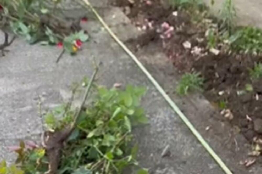 SRPSKI GLUMAC NAPRAVIO HAOS NAKON ĐOKOVIĆEVOG PORAZA: Nije mogao da izdrži pa krenuo da UNIŠTAVA, OBJAVLJEN SNIMAK!