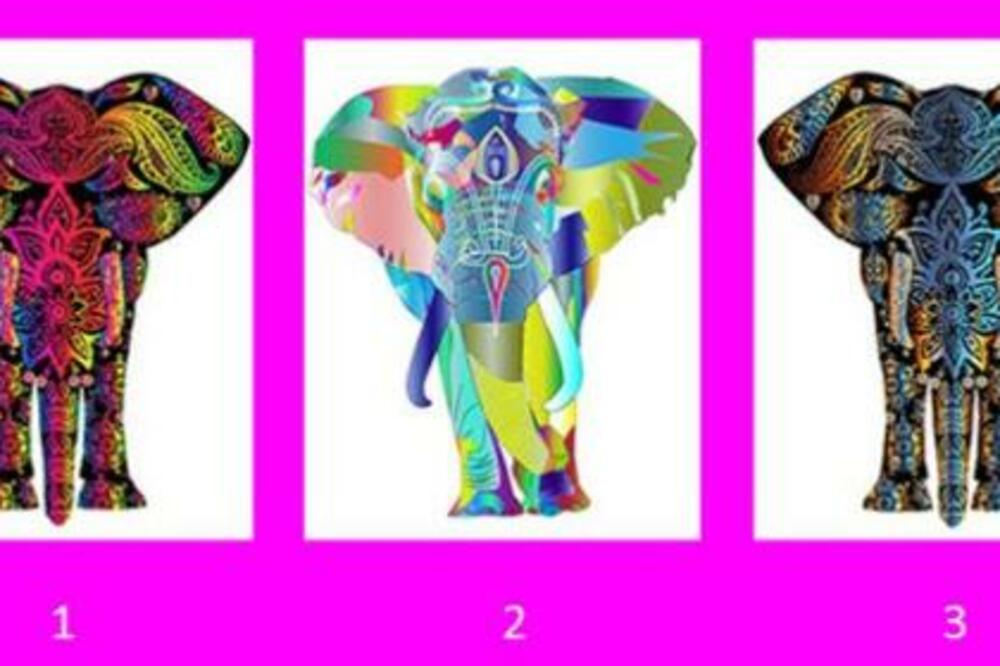 IZABERITE JEDNOG SLONA I SAZNAJTE KAKVU VAM PORUKU PORUČUJE SVEMIR: Dobro čitajte ovakve ZNAKOVE PORED PUTA