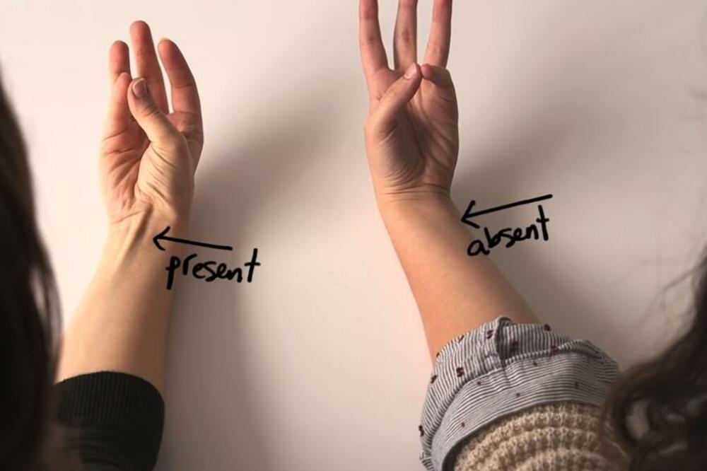 SAMO 14% LJUDI NA SVETU NEMA OVAJ MIŠIĆ, DA LI STE MEĐU NJIMA? Uradite OVAJ TEST i saznajte (VIDEO)