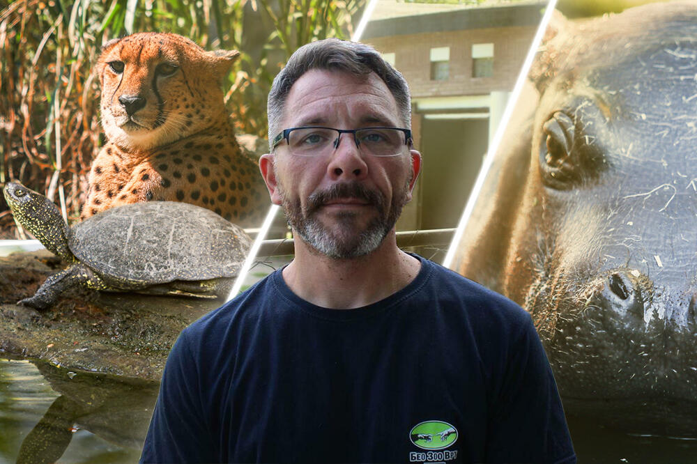 KAKO ŽIVOTINJE U ZOOLOŠKOM VRTU PREŽIVLJAVAJU VRUĆINE? Ovari za Espreso otkrio kako ih rashlađuju i kome JE NAJTEŽE