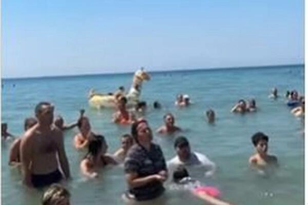 SRBI NA HALKIDIKIJU NAPRAVILI HAOS: Ljudi ih gledaju U ČUDU, a zbog odabira pesme društvene mreže gore! (VIDEO)