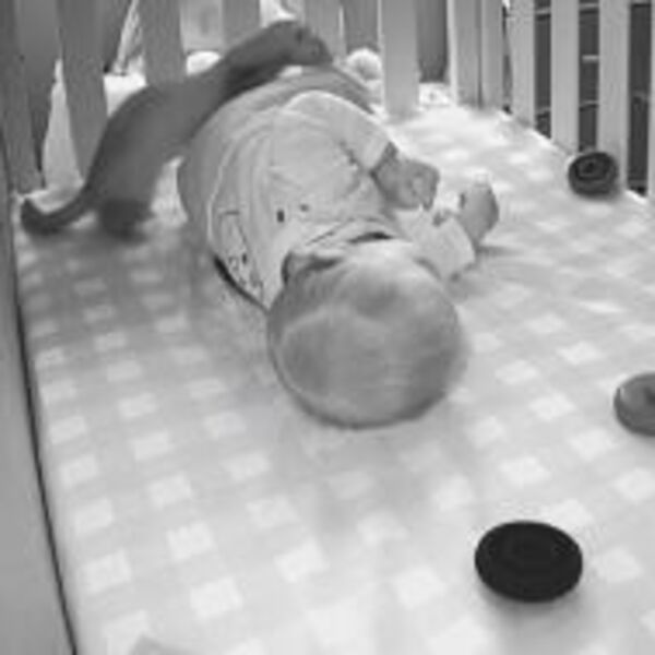 AFRIČKI TVOR UŠAO U BEBIN KREVETAC, NJENA REAKCIJA OSTAVLJA BEZ TEKSTA: Probudio je pa ukrao igračku (VIDEO)