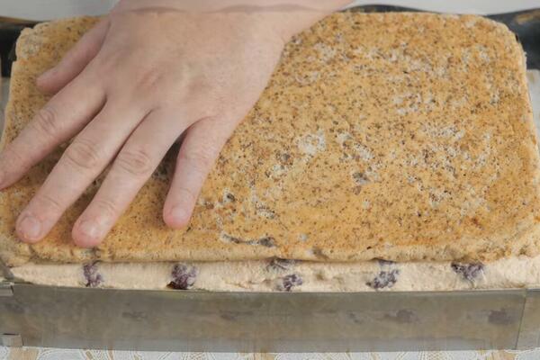 KONAČNO REŠENA DILEMA O TOME DA LI JE PLAZMA POSNA: Godinama ste NAGAĐALI, a prava ISTINA JE OVO