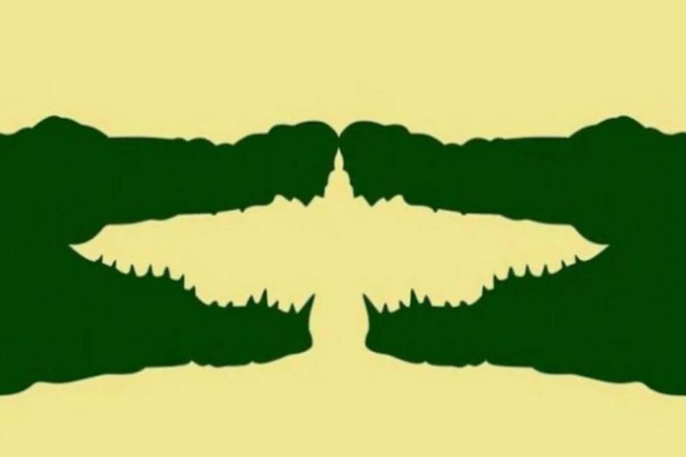 OVAJ TEST OTKRIVA VAŠE PROBLEME U ŽIVOTU: Dobro razmislite šta VIDITE, od toga vam zavisi SVE DALJE