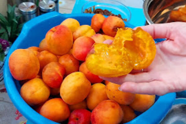 RECEPT NAJPOZNATIJE BAKE U SRBIJI ZA DŽEM BEZ ŠEĆERA: Ni NAJISKUSNIJE domaćice za NJEGA nisu čule, dobro ČITAJTE