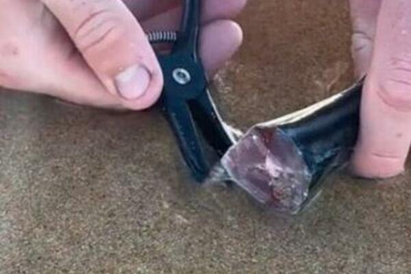 AKO STE HODALI BOSI NA PLAŽI, POSLE OVOGA VIŠE NEĆETE: Pogledajte ŠTA je izvukao iz PESKA - evo nove FOBIJE (VIDEO)