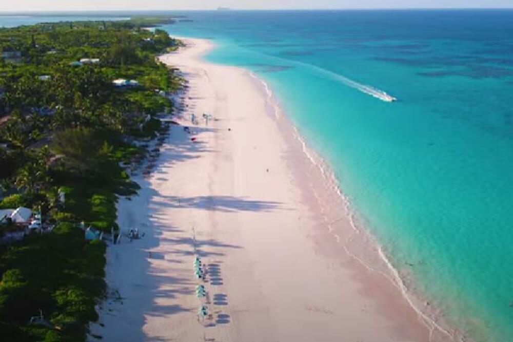 SEDELI SU MIRNO NA PLAŽI, A ONDA SE ZAČUO KRIK KOJI IH JE SLEDIO: Pogled u vodu uterao im je strah u kičmu (FOTO)