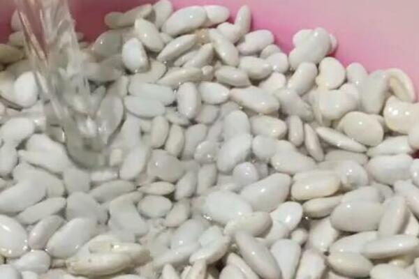 OTKRIVENA 4 NOVA JELA OD PASULJA, SRPSKE DOMAĆICE ODUŠEVLJENJE: Poslednje im NIKADA ne bi palo na pamet da SPREME