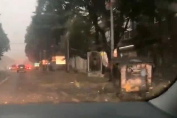 TRAGEDIJA! OTAC DVOJE DECE STRADAO U HRVATSKOJ: Krenuo po omiljenu osobu na svetu, a onda je na njega PALO STABLO