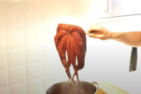 OVAKO GRCI SPREMAJU HOBOTNICU: Ne morate da otputujete tamo da bi uživali u njoj, RECEPT JE PROST K'O PASULJ