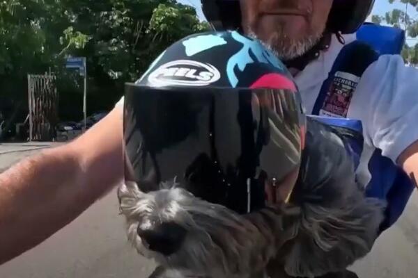 OVAJ ČOVEK I NJEGOV PAS ČINE PRELEPU STVAR: Voze se na MOTOCIKLU po gradu, a ono što rade će vas ODUŠEVITI (VIDEO)