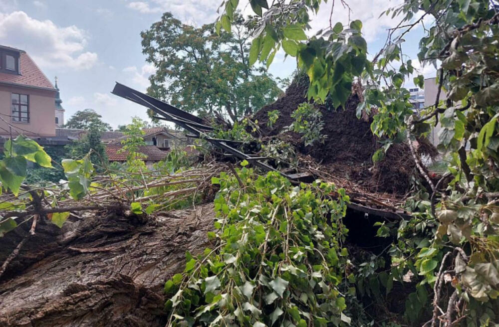 Novi Sad pre par dana