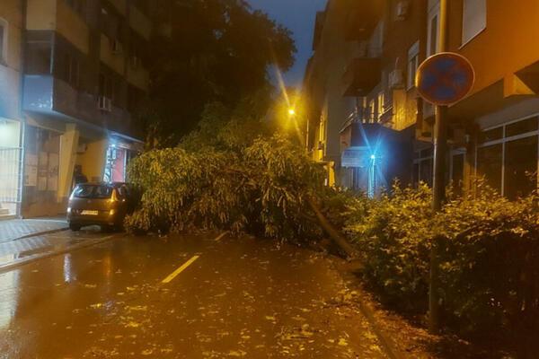 TRAGEDIJA IZBEGNUTA ZA DLAKU: Deo betonskog krova se umalo OBRUŠIO na DEČAKE u Novom Sadu! (VIDEO)