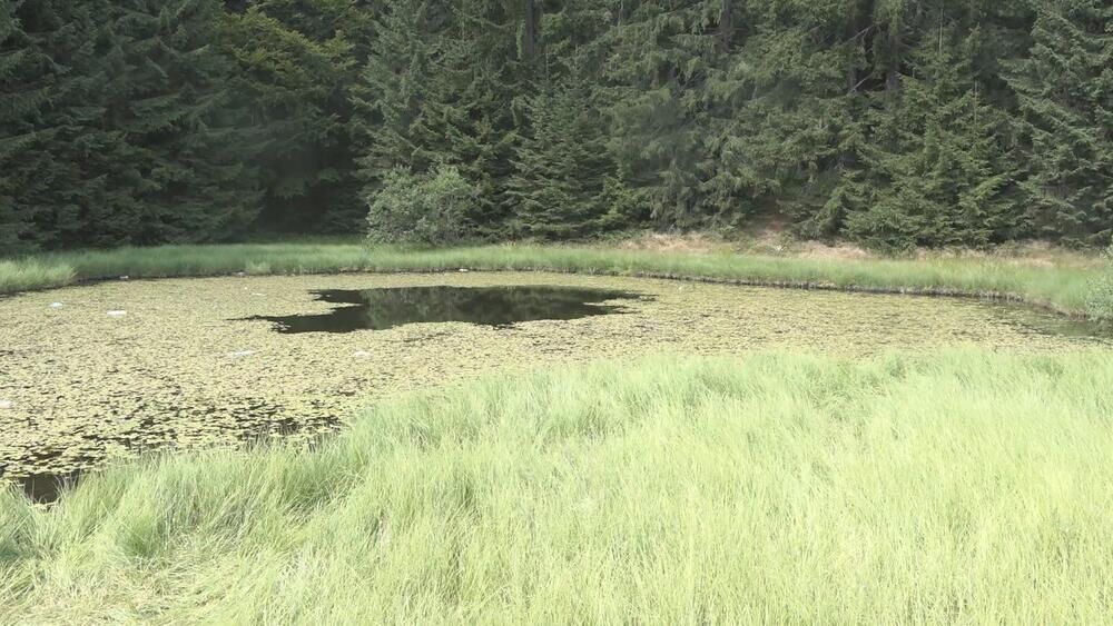 Golija, Dajićko jezero