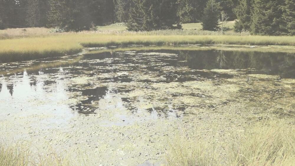 Golija, Dajićko jezero