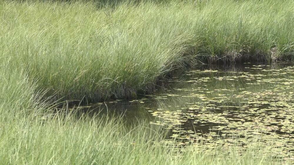 Golija, Dajićko jezero