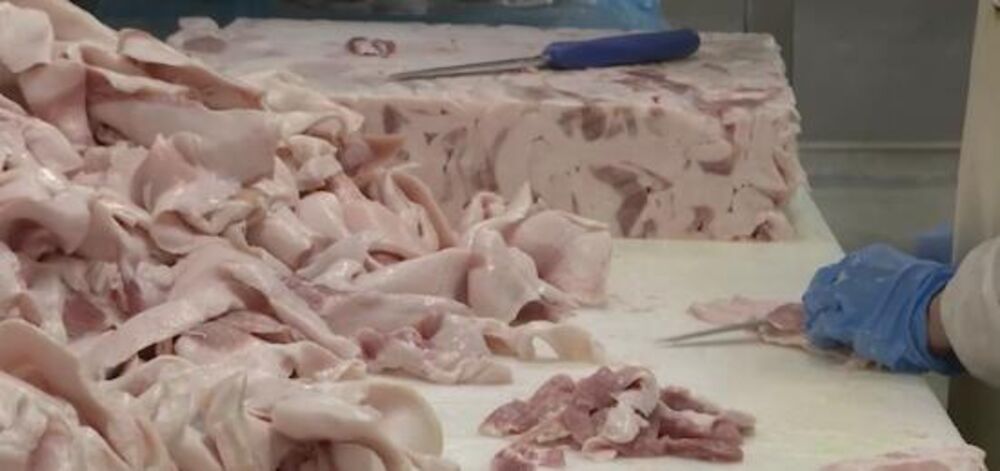 Spremanje slanine za čvarke