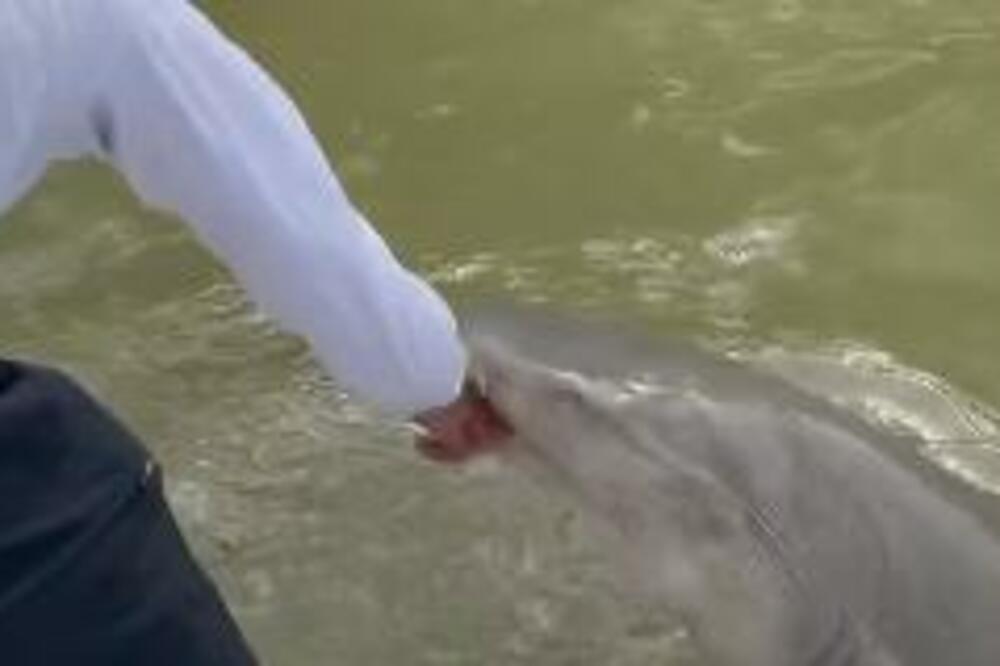 RIBAR SPUSTIO RUKE U VODU DA IH OPERE A ONDA JE USLEDIO SUSRET SA SMRĆU: Samo je SEKUNDA falila da ga odvede(VIDEO)