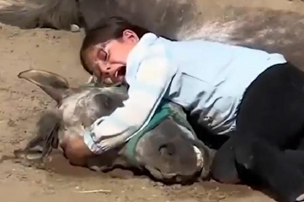 SNIMAK DEVOJČICE KOJA PLAČE ZA UGINULIM KONJEM OBIŠAO PLANETU: Usledio je GEST kakav NIKO nije OČEKIVAO! (VIDEO)