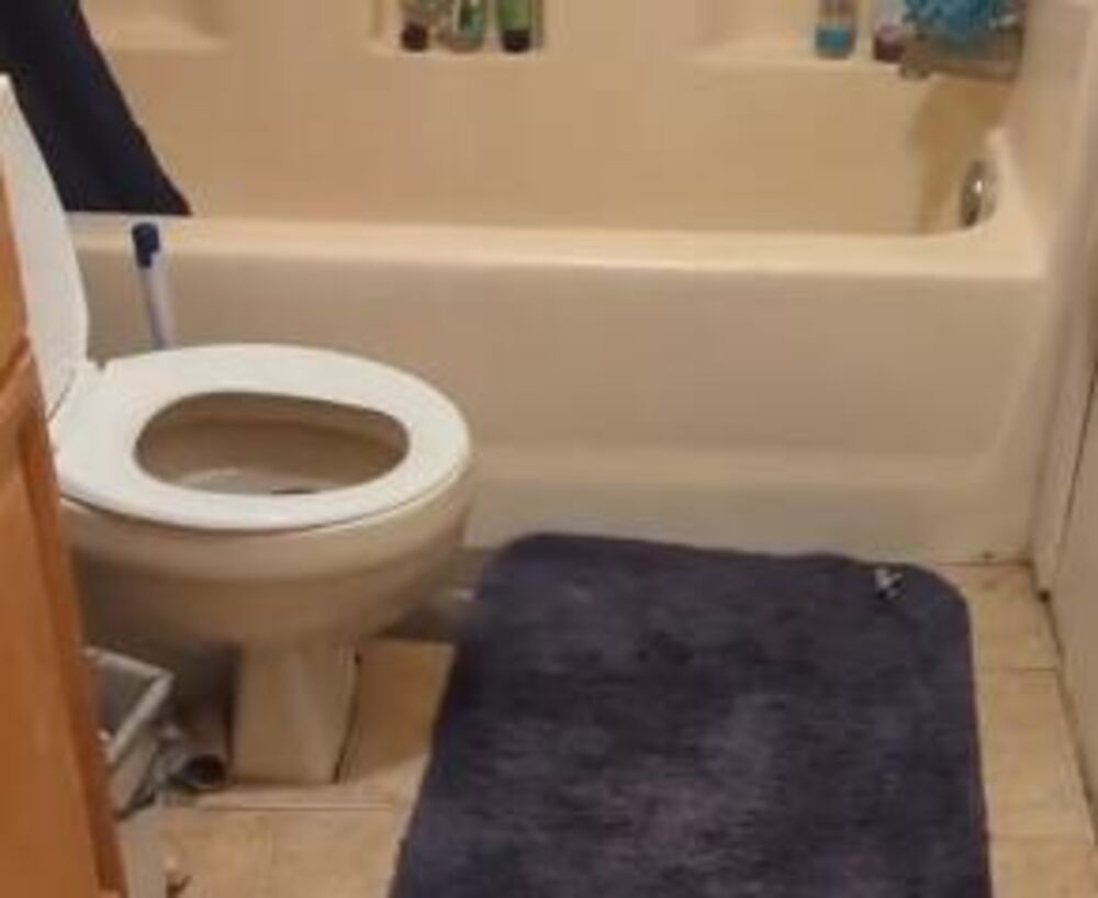 Predmeti koji mogu napraviti štetu u wc šolji