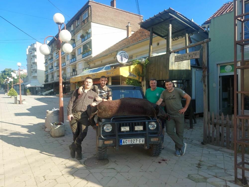 Divlji vepar, Lov, Aleksandrovac