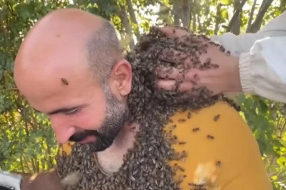 DA LI JE REALANO? Telo pokriva MASIVNIM ROJEM PČELA zbog OVOGA! (VIDEO)