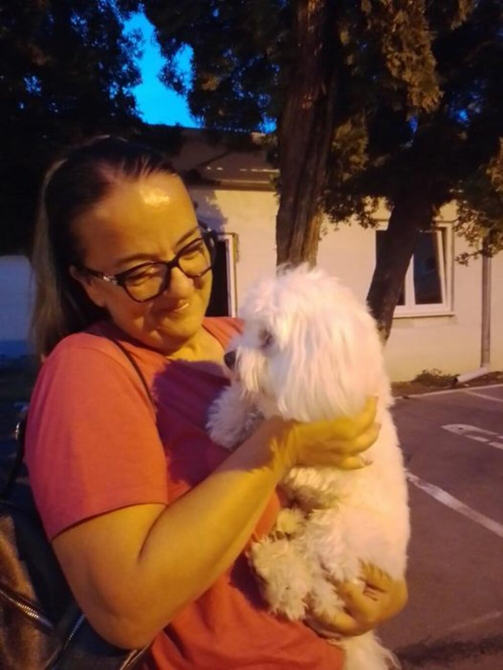 Ivana Mitić, Pas Kiki