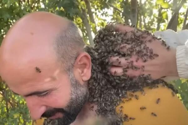 PČELE SU MU SVUDA PO TELU, A RAZLOG JE NAJLUĐI MOGUĆI: Svi se pitaju DA LI JE NORMALNO OVO ŠTO RADI? (VIDEO)