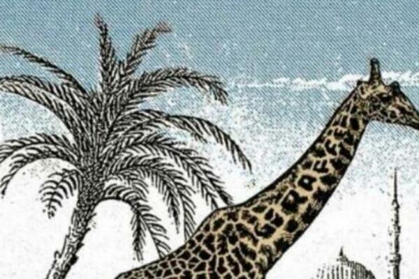 OVA MOZGALICA IZLUĐUJE TVRDOGLAVE SRBE: Probajte da nađete DRUGU žirafu na slici