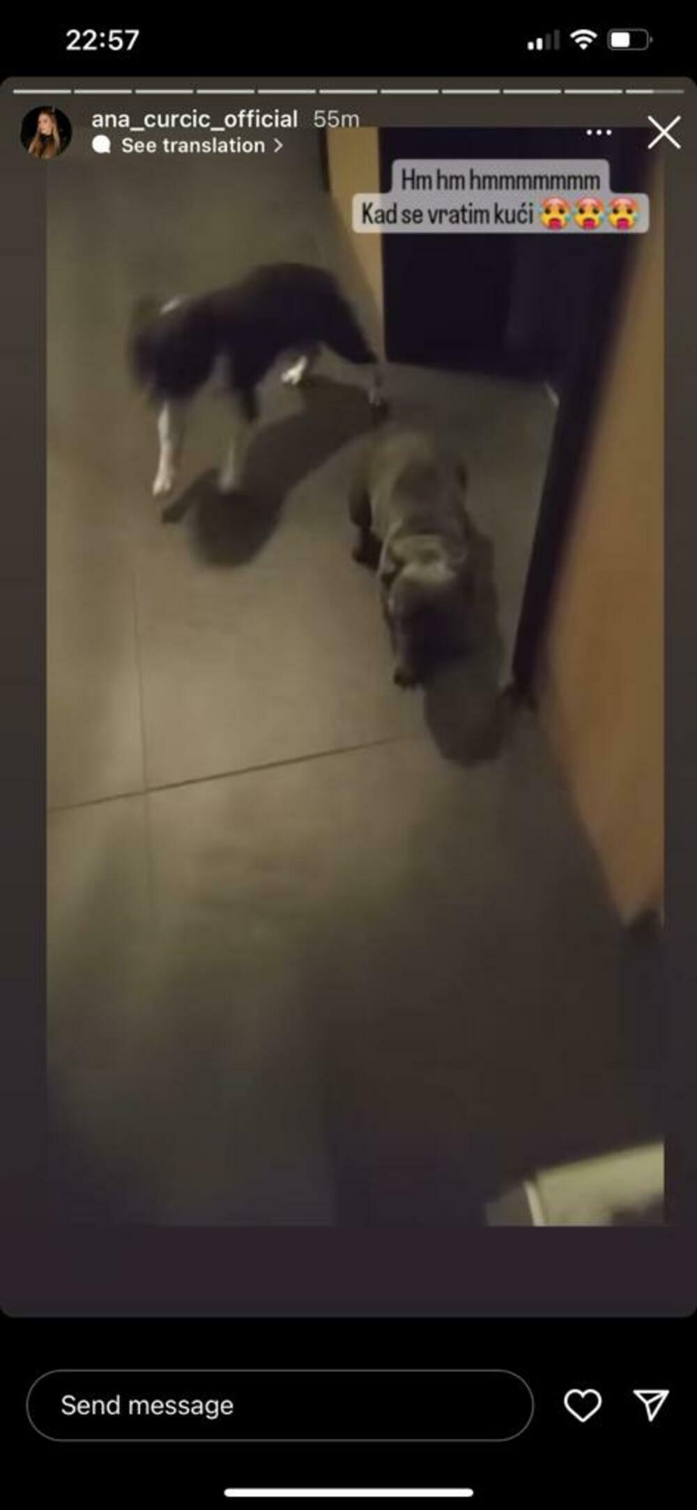 Grdila je svoje ljubimce