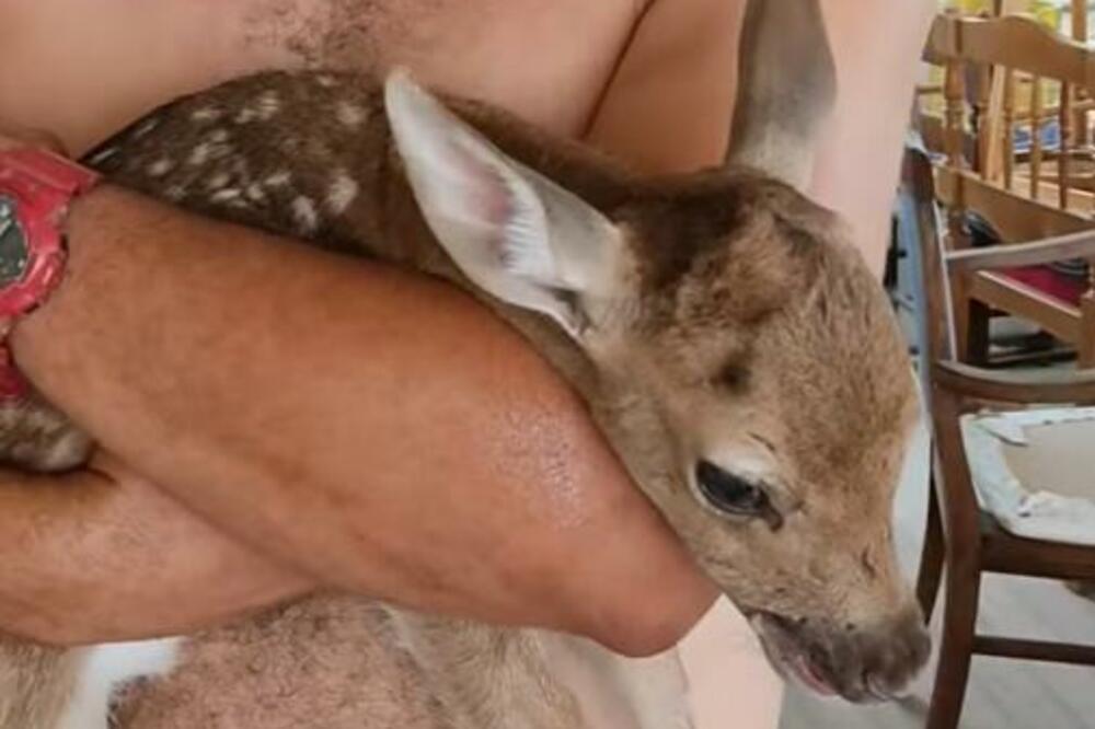 MLADUNČE JELENA POSTALO SIMBOL POBEDE ŽIVOTA NAD SMRTI: Rođen je u PLAMENU, njegova priča će vas RAZNEŽITI (VIDEO)