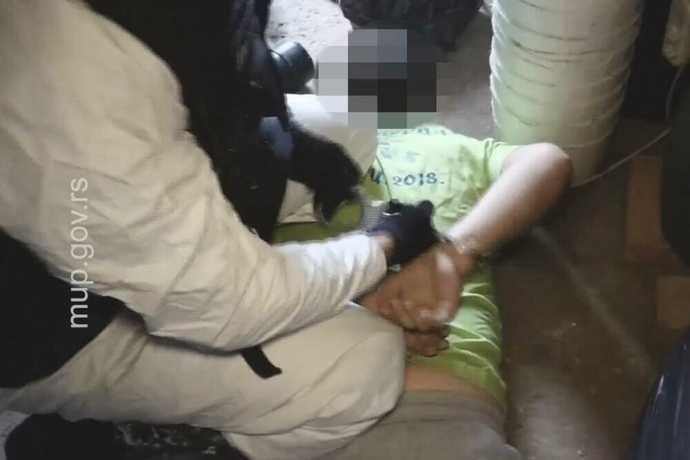 POGLEDAJTE KAKO SU "PALI" BEOGRADSKI NARKO-DILERI: Uzgajali marihuanu na dve lokacije, KUĆE PUNE DROGE (VIDEO)