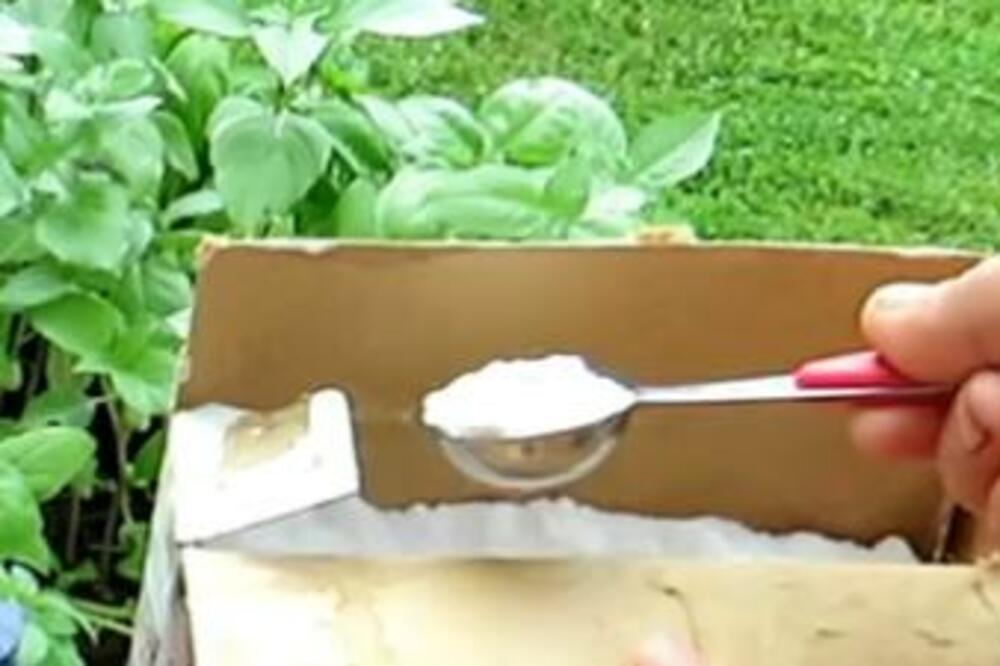 MNOGE ŽENE DRŽE KAŠIKU ŠEČERA NA SRED DRVORIŠTA: Kada SAZNATE zašto to rade, ODMAH ćete uraditi ISTO