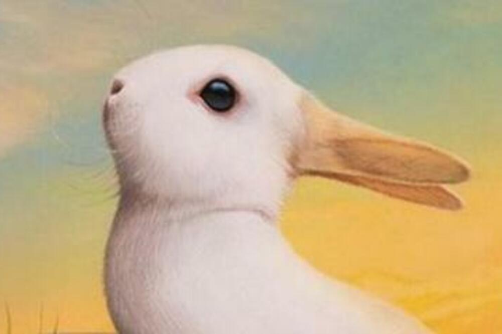 ŽIVOTINJA KOJU PRVO UGLEDATE NA OVOJ SLICI OTKRIVA VAŠ KARAKTER: Saznajte kakva se LIČNOST krije duboko u vama